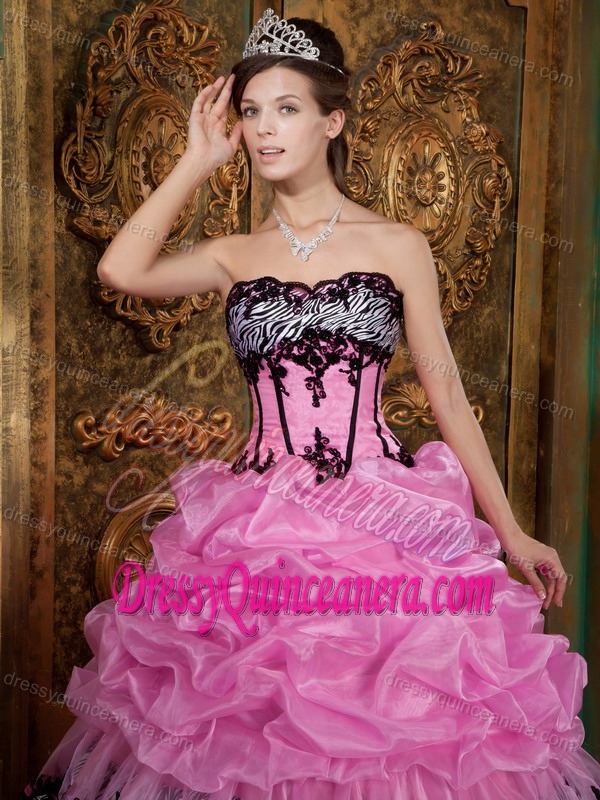 Rose Pink Taffeta Quinceanera Gown Dresses with Appliques and Picks-ups