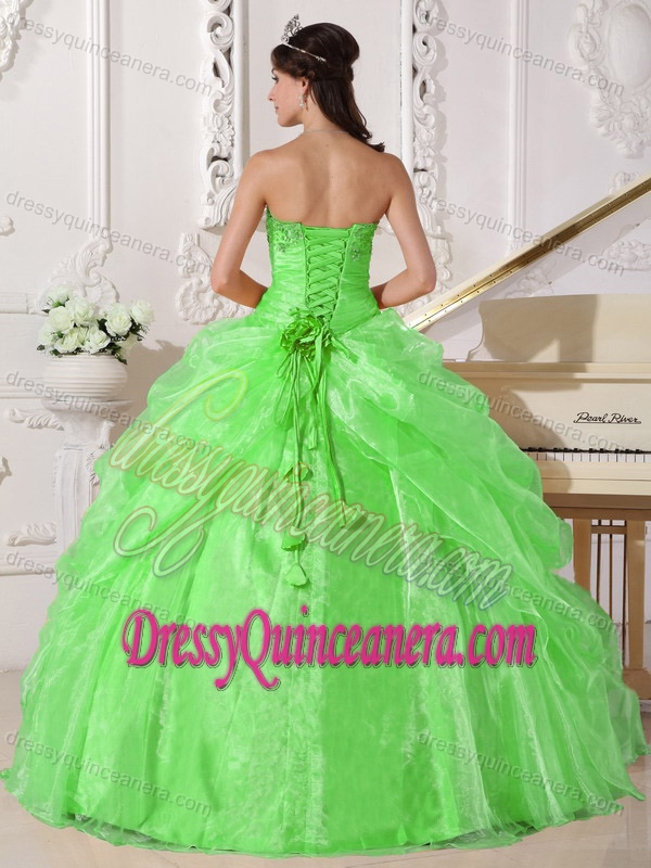 Popular Embroidered Beaded Organza Long Quince Dress in Spring Green