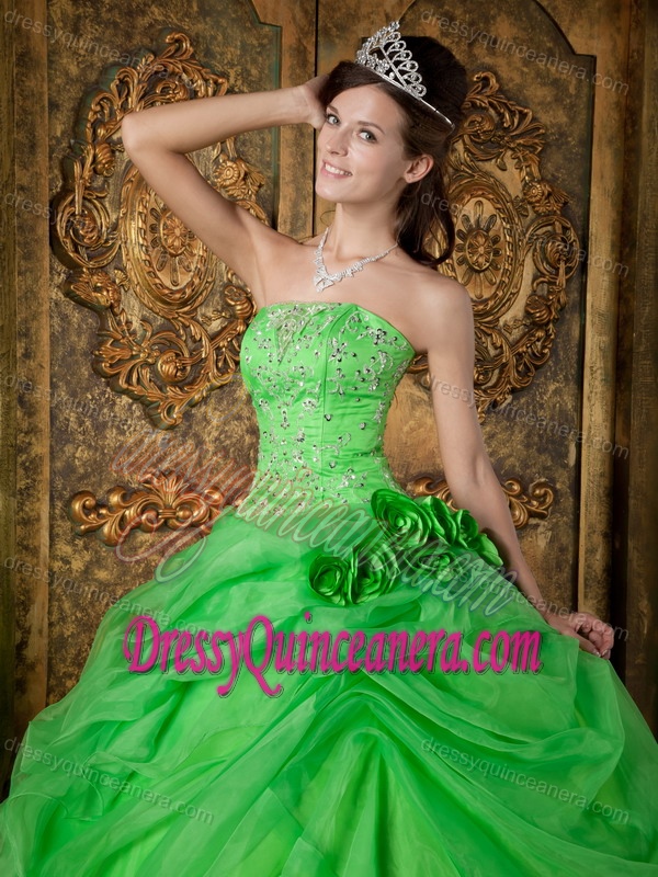 Spring Green Organza Beaded Quinceanera Dresses with Hand Flowers