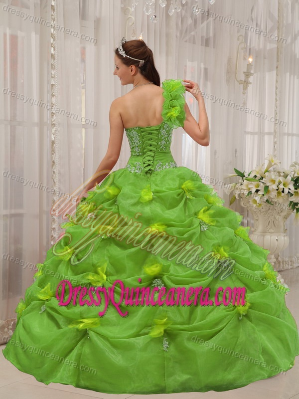Quinceanera Gowns with Appliques and One Shoulder on Promotion