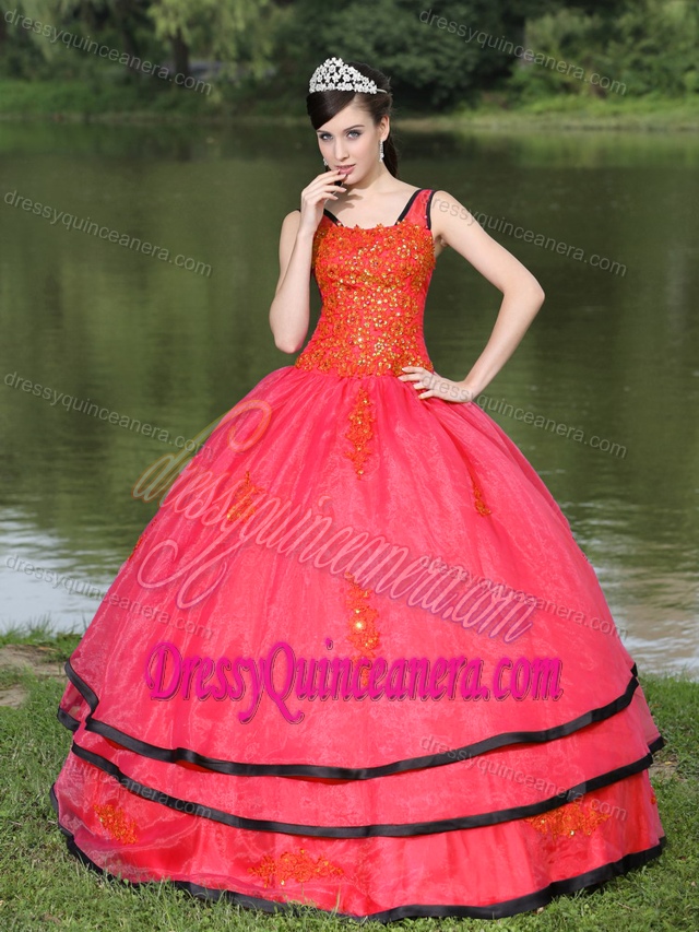 Long Sleeves Appliques Decorate Quinceanera Gown in Red on Sale