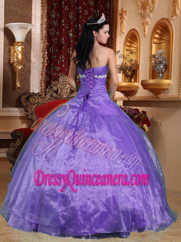 Beautiful Strapless Organza Quinceanera Dress with Appliques on Promotion