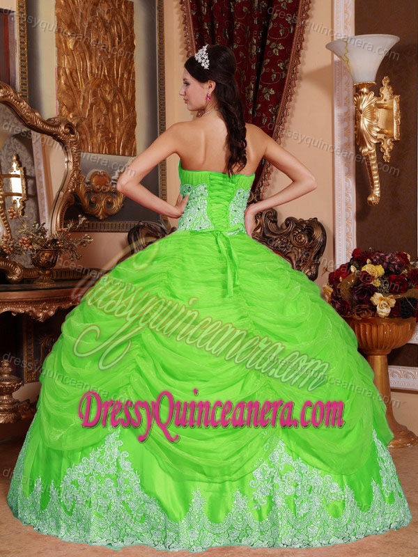 Spring Green Beaded Organza Elegant Quinceanera Dress with Appliques