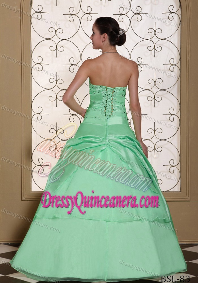 Beaded Bust Sweet Taffeta and Organza Gown Quince Dresses with Flower