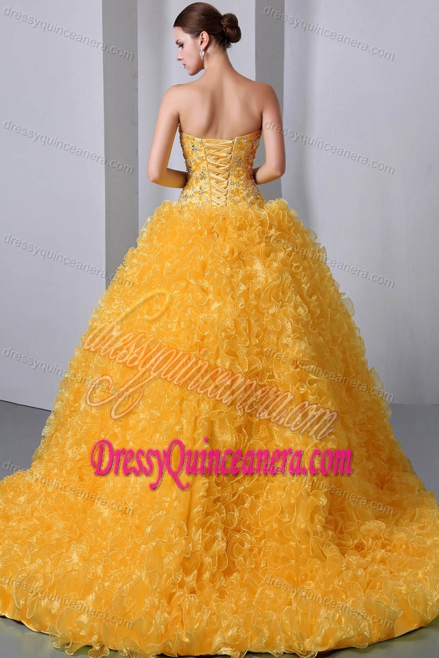 Sweetheart Brush Train Organza Quinces Dresses for Wholesale Price