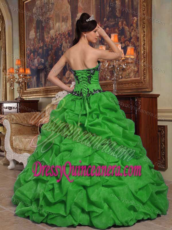 Strapless Ball Gown Green Organza Quinceanera Dress with Pick-ups and Appliques