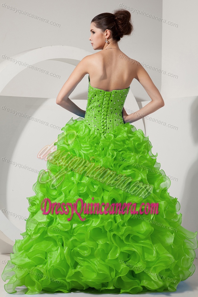 Sweet Spring Green Floor-length Organza Quinceanera Gown with Beading
