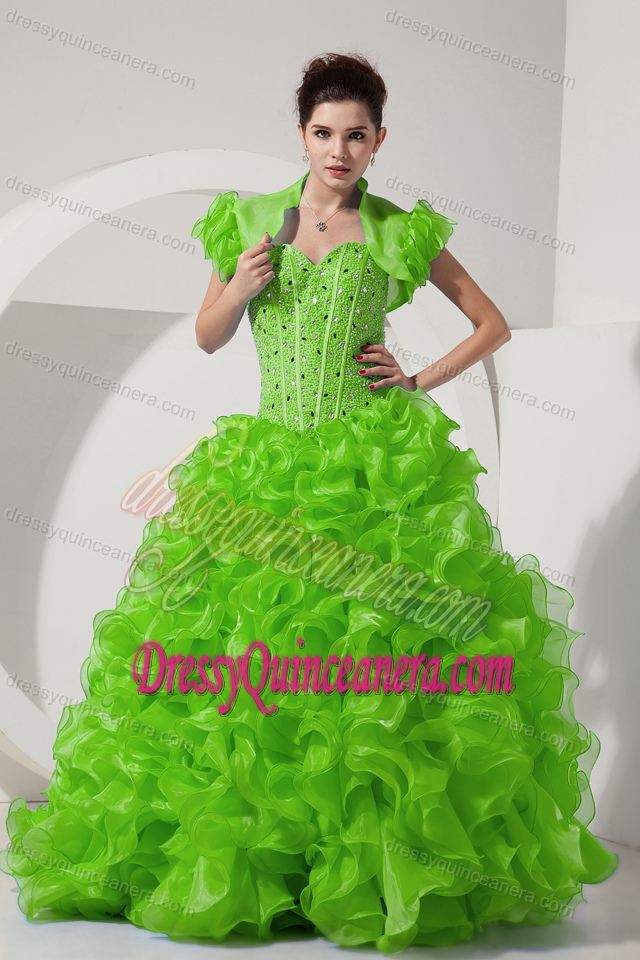 Sweet Spring Green Floor-length Organza Quinceanera Gown with Beading