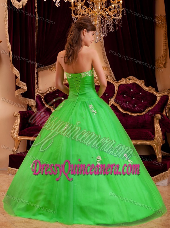 Spring Green Princess Strapless Appliques Tulle 2013 Sweet Sixteen Dresses