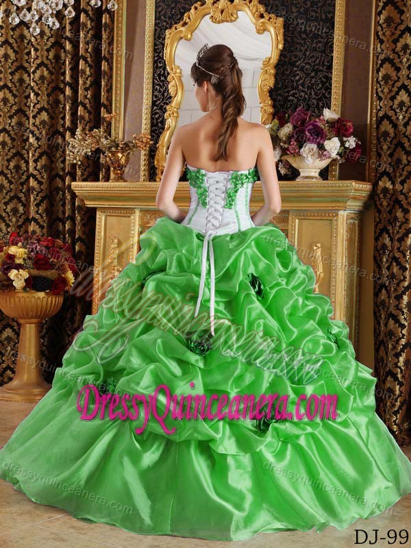 2013 Spring Green Sweetheart Flowers Organza Quinceanera Gown Dresses