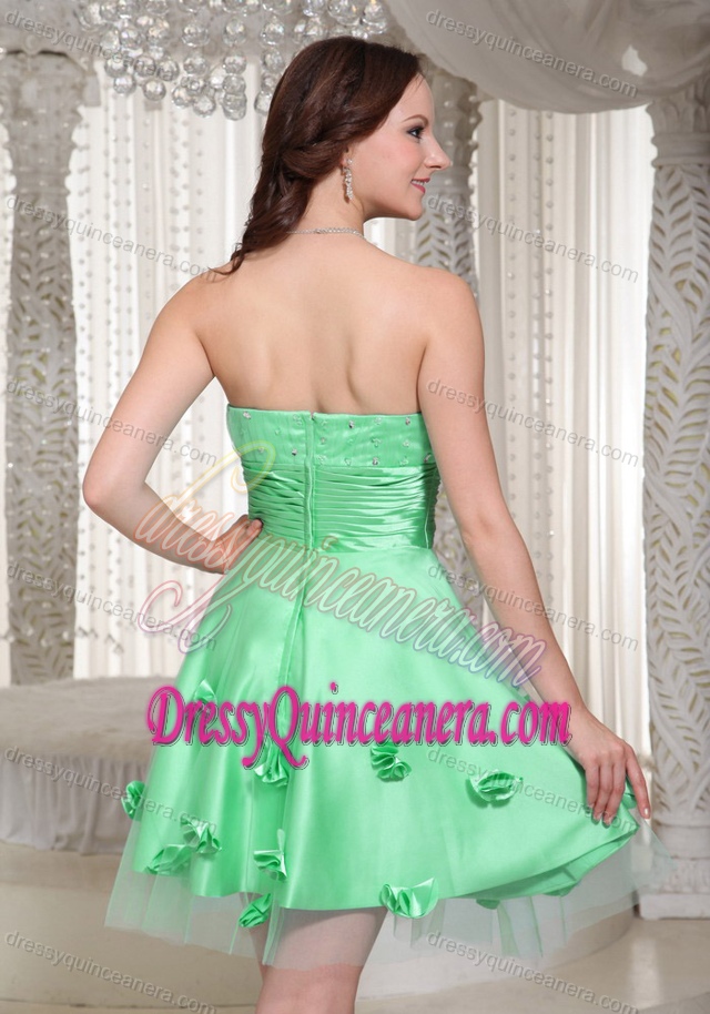 Apple Green Flowers Short Tulle Beautiful Dama Dresses for Quinceaneras