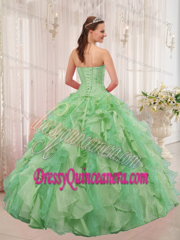 Elegant Ball Gown Style Sweetheart Quinceanera Dresses in Organza