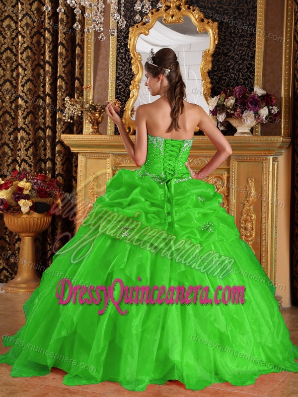 Appliqued Organza Nice Beaded Quinceanera Gowns in Spring Green