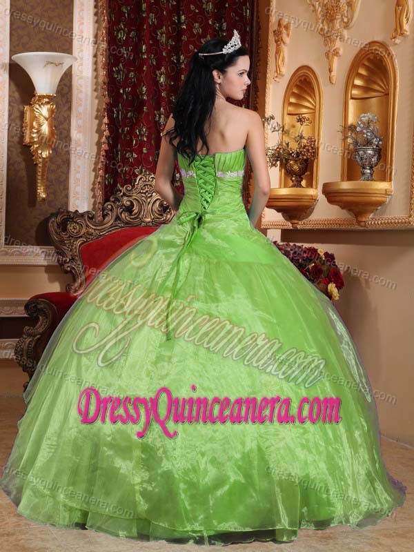 Beautiful Strapless Appliqued Quinceanera Dresses in Organza for Cheap