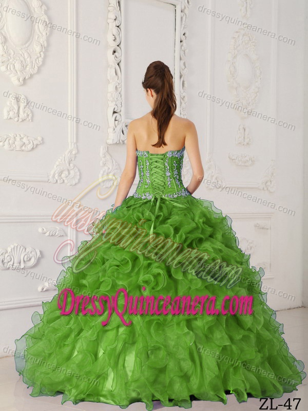 Special Sweetheart Spring Green Organza Appliqued Quinceanera Dress with Ruffles