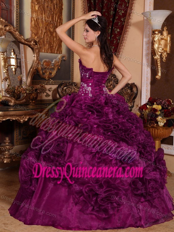 Fuchsia Ball Gown Dresses for Quinceanera with Embroidery and Rolling Flowers