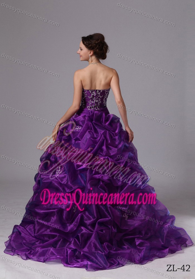 Special Strapless Organza Quinceanera Gowns with Embroider and Pick-ups