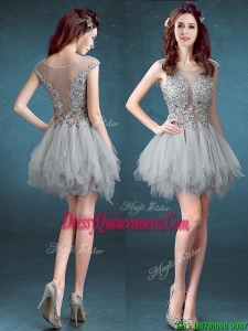 Gorgeous Scoop Appliques and Ruffles Dama Dress in Grey