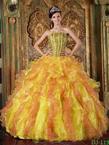 Multi-Color Strapless Ruffled Quinceanera Gowns with Beading in Organza