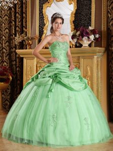 2013 Apple Green Tulle Beaded Quinceanera Dress with Hand Made Flowers