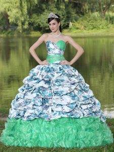 Wonderful Organza Brush Train Ruffled Quinceanera Gowns in Multi-color