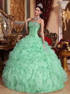 Ruching and Beading Organza Dresses for Quinceanera in Apple Green with Ruffles