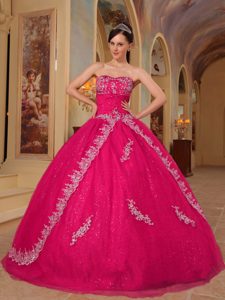 Fabulous Embroidered Hot Pink Organza Quinceanera Dresses for Spring