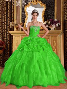 Appliqued Organza Nice Beaded Quinceanera Gowns in Spring Green