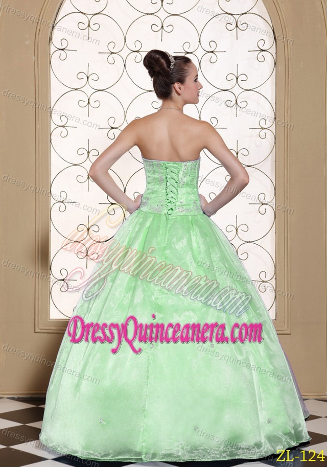 Elegant Strapless Quinceanera Dresses with Embroidery in Apple Green