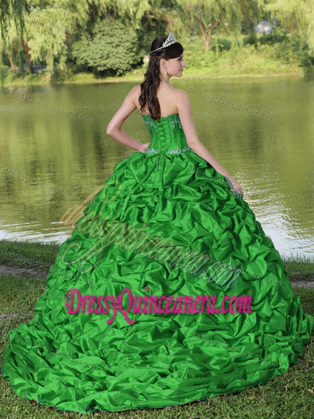 Vintage Green Sweetheart Quinceanera Dress with Appliques and Pick-ups
