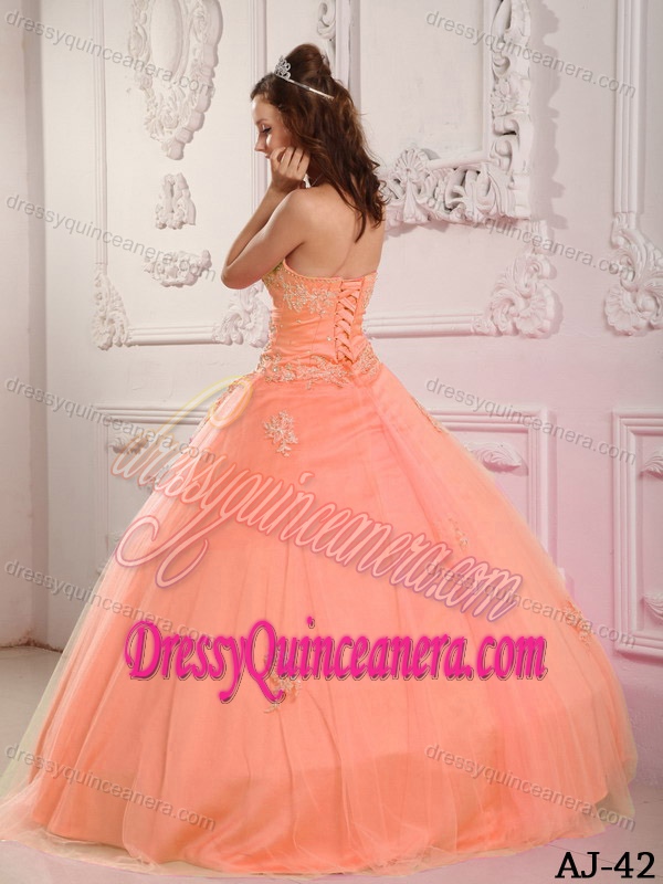 Classical Tulle Pink Quinceanera Gown Dresses for 2013 with Appliques