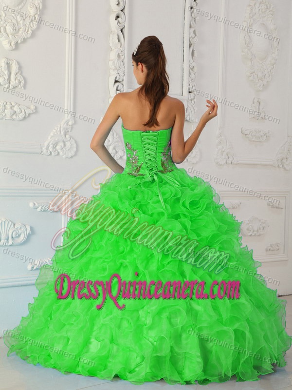 Exquisite Strapless Embroidery Green Sweet Sixteen Dresses On Promotion