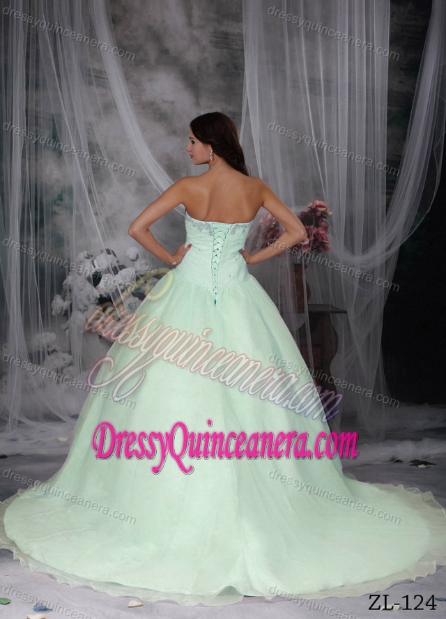 Fashionable Quinceanera Dress with Hand Made Flowers and Chapel Train