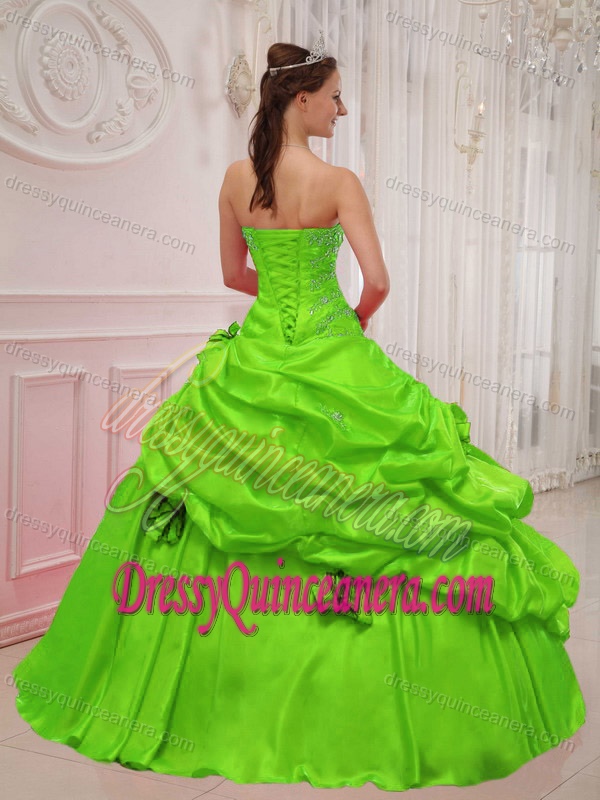 Ball Gown Sweetheart Taffeta Appliqued Quince Dresses in Spring Green