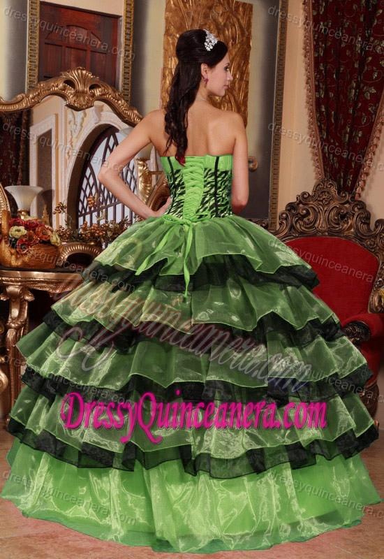 Multi-color Ball Gown Sweetheart Organza Quinceanera Gown with Ruffles