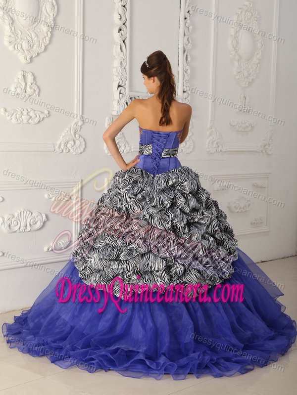 Strapless Appliqued Blue Sweet Sixteen Dresses with Pick-ups and Zebra on Sale