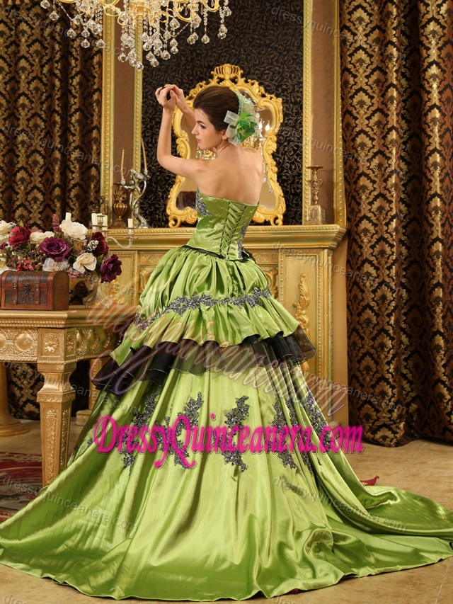 Olive Green Beaded Taffeta Court Train Quinceanera Dress with Appliques