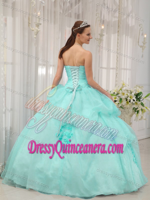 Organza Quince Dress with Sweetheart in Apple Green on Promotion
