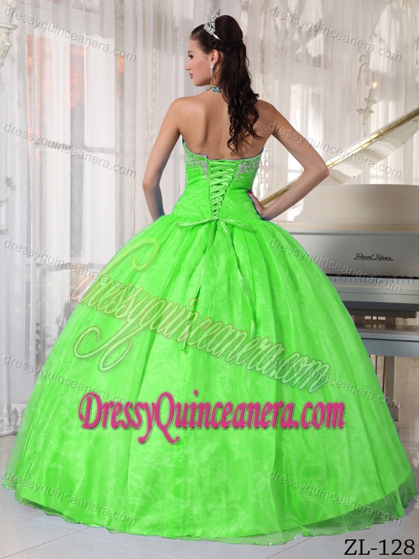 Spring Green Floor-length Organza Appliques Dress for Quinceanera