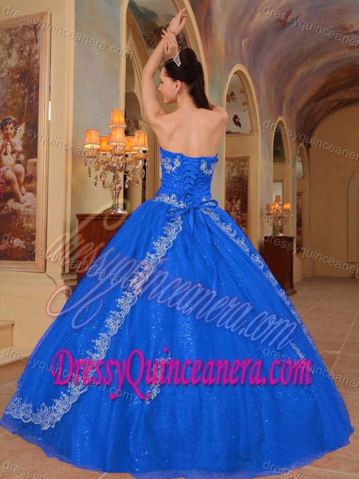 Sweetheart Floor-length Organza Dress for Quince with Embroidery in Sky Blue