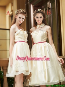 Best Selling Champagne Organza Dama Dress with Appliques and Sashes