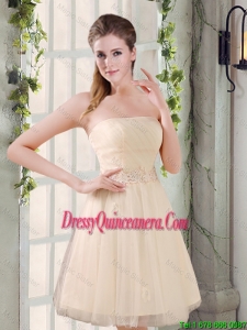 Strapless Appliques 2016 New Dama Dresses in Champagne