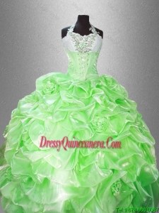 Best Selling Luxurious Halter Top Pick Ups Quinceanera Gowns in Spring Green