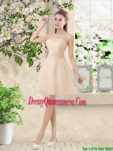 New Style Strapless Appliques and Belt Dama Dresses in Champagne