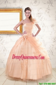 2015 Fast Delivery One Shoulder Appliques Quinceanera Dress in Peach