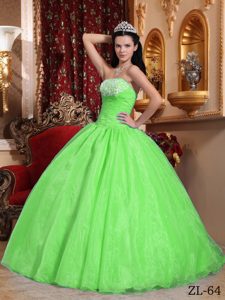 Spring Green Ball Gown Strapless Nice Quinceanera Dress in Organza