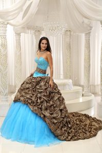 Pretty Leopard and Organza Quinceanera Dresses with Brush Train