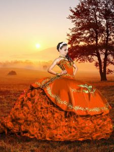 Lace Up Sweet 16 Quinceanera Dress Rust Red for Military Ball and Sweet 16 and Quinceanera with Embroidery and Ruffles Brush Train