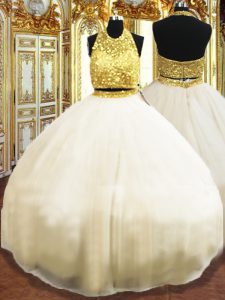 Elegant Champagne Ball Gowns Beading 15 Quinceanera Dress Zipper Tulle Sleeveless Floor Length