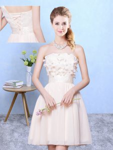 Best Selling Champagne Empire Appliques Court Dresses for Sweet 16 Lace Up Chiffon Sleeveless Knee Length
